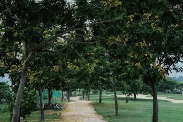 Path less travelled-Jyoti