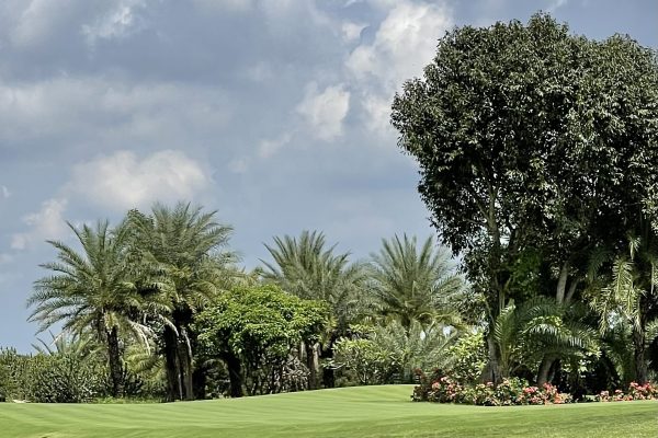 Putting greens