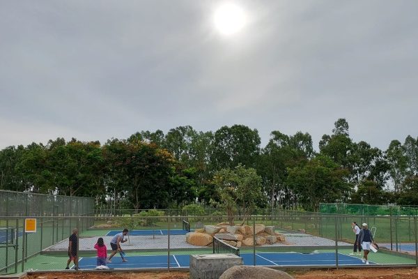 Pickle ball
