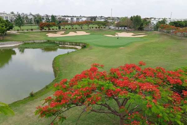 Gulmohar trees and lake