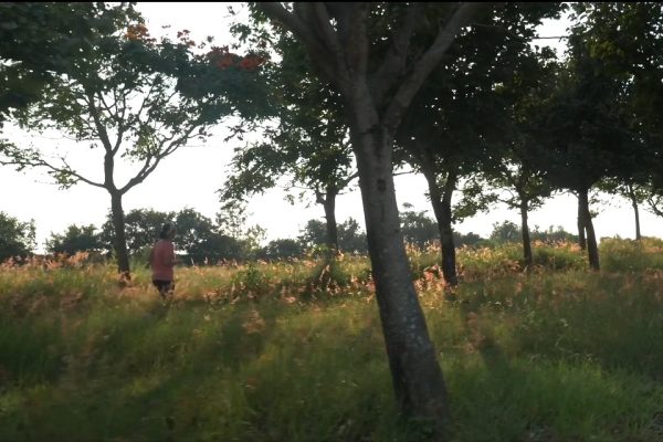 Jogger in Zion